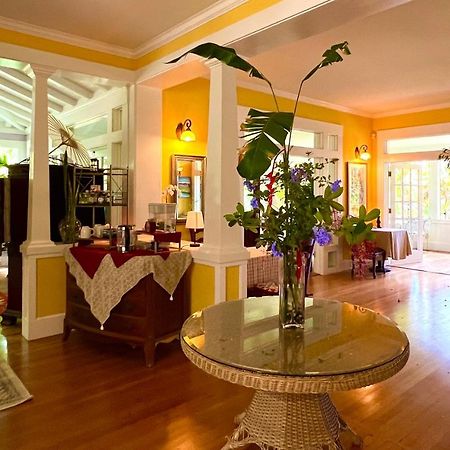 Hawi Guest House Dış mekan fotoğraf
