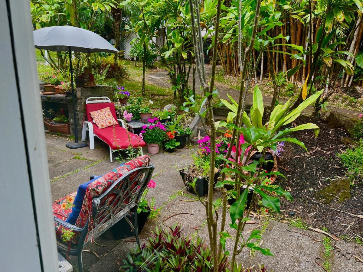 Hawi Guest House Dış mekan fotoğraf