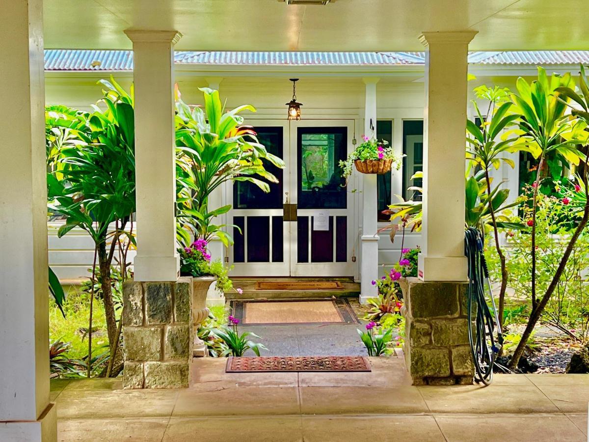 Hawi Guest House Dış mekan fotoğraf