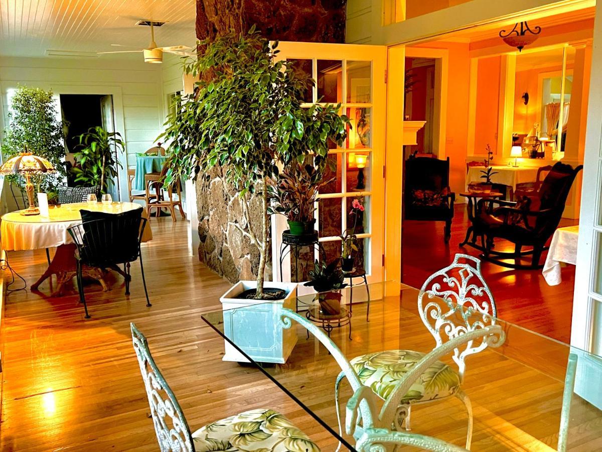 Hawi Guest House Dış mekan fotoğraf
