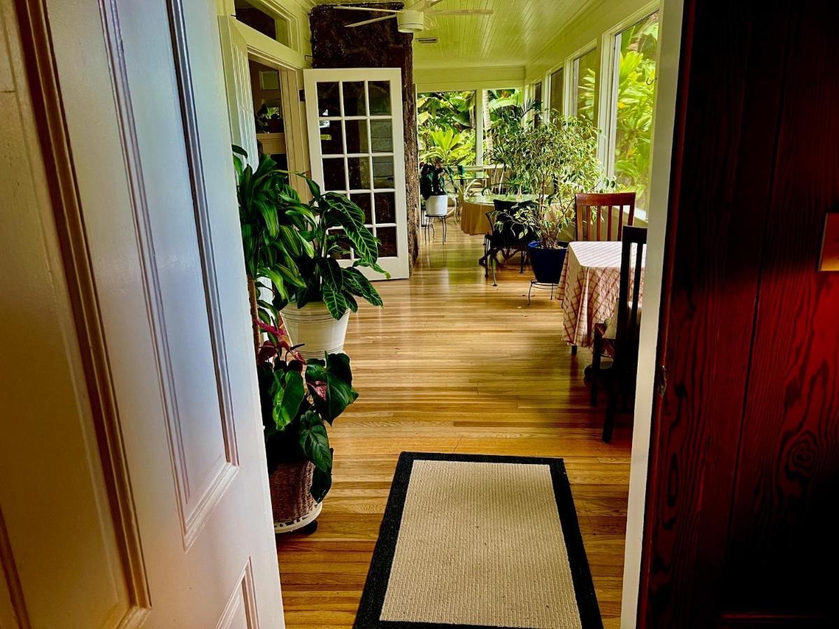 Hawi Guest House Dış mekan fotoğraf