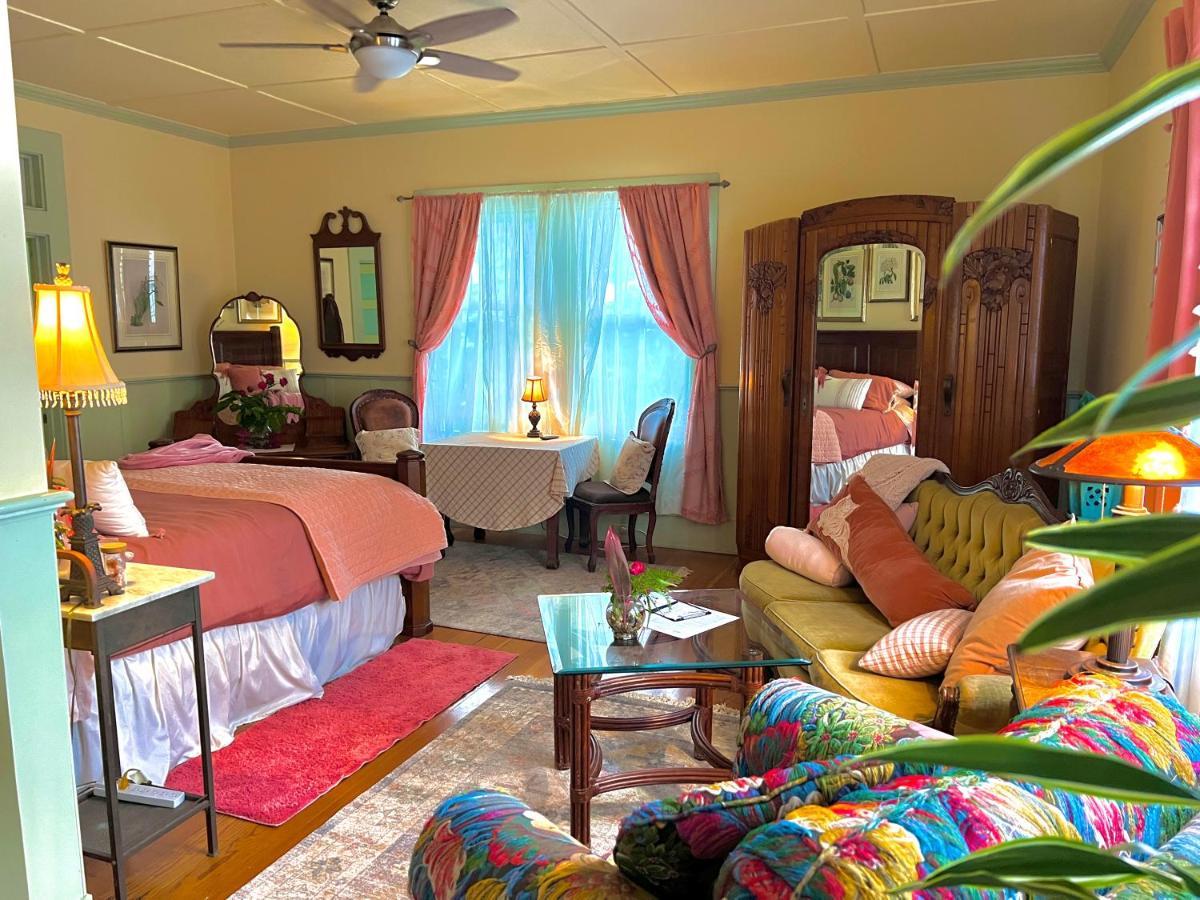 Hawi Guest House Dış mekan fotoğraf