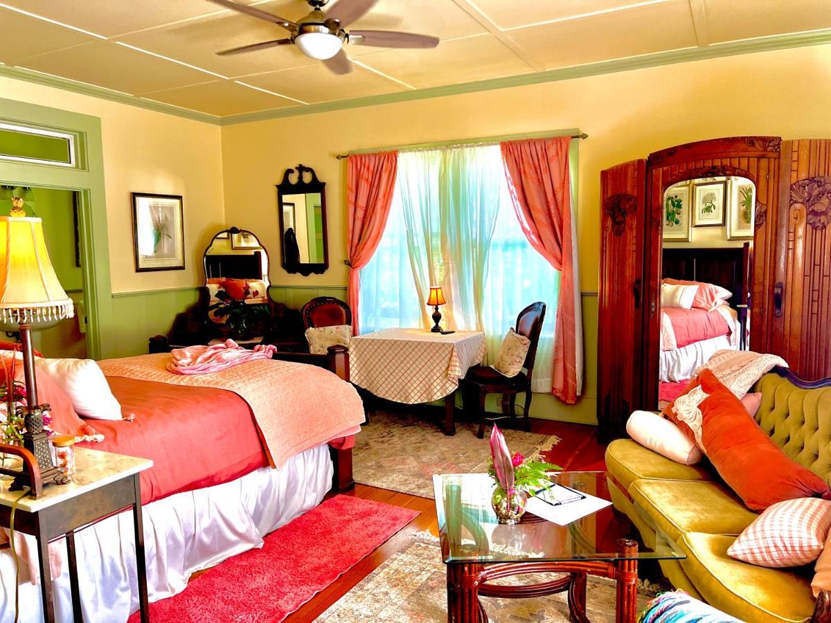 Hawi Guest House Dış mekan fotoğraf