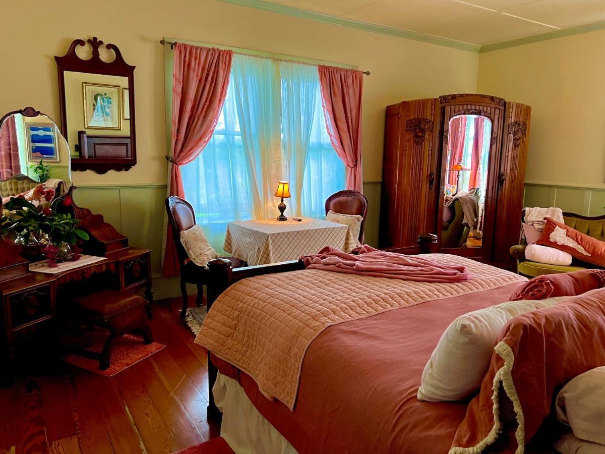 Hawi Guest House Dış mekan fotoğraf