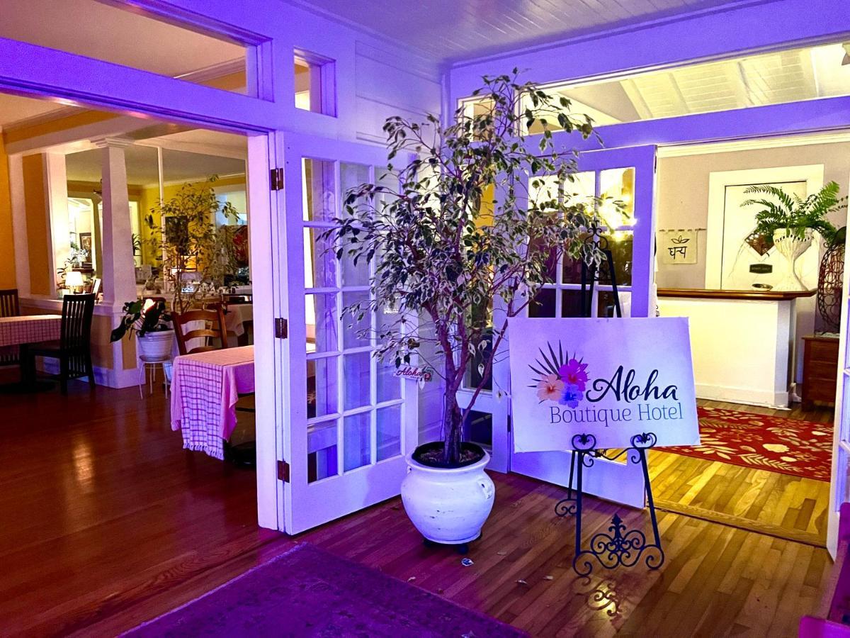 Hawi Guest House Dış mekan fotoğraf