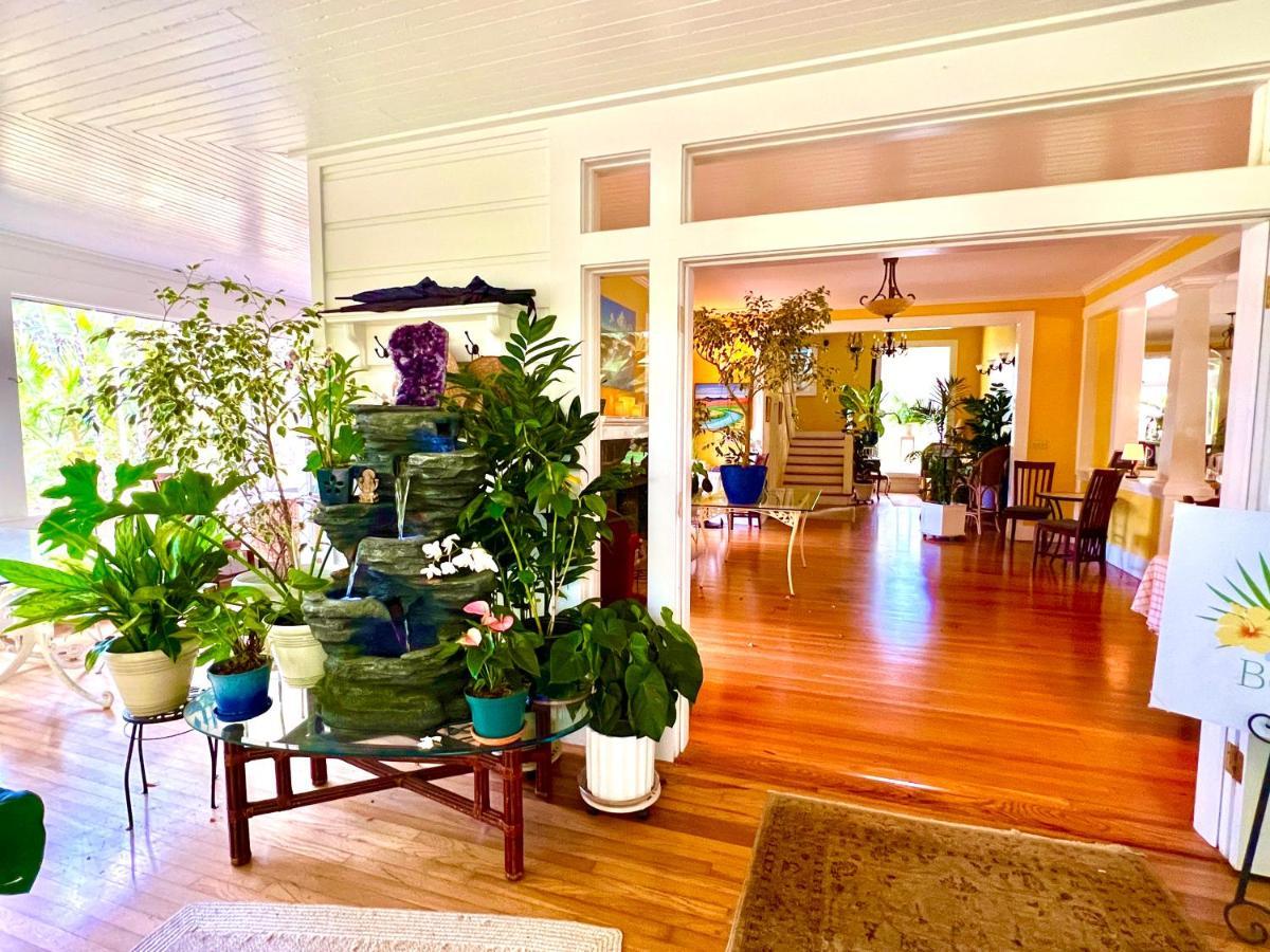 Hawi Guest House Dış mekan fotoğraf