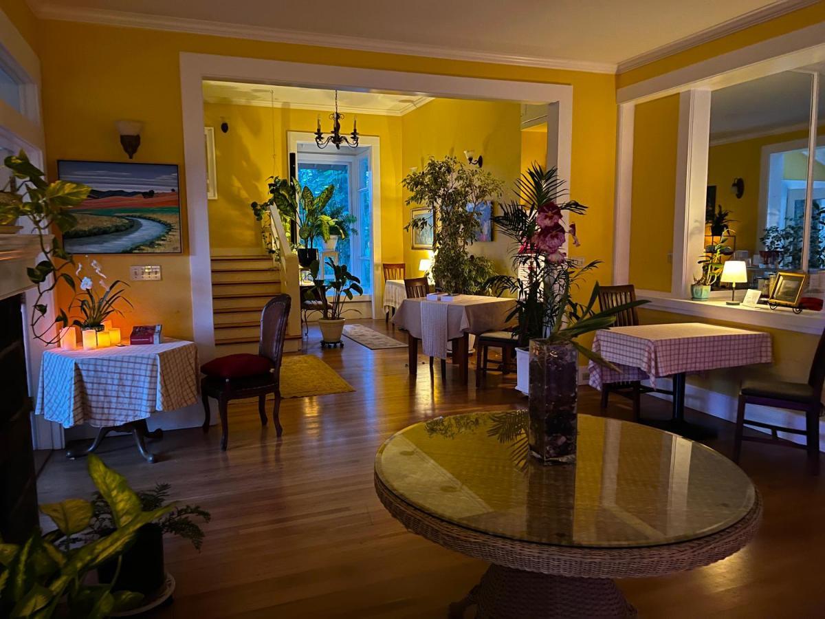 Hawi Guest House Dış mekan fotoğraf